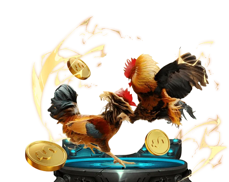 Quản lý tài khoản và cá cược có trách nhiệm